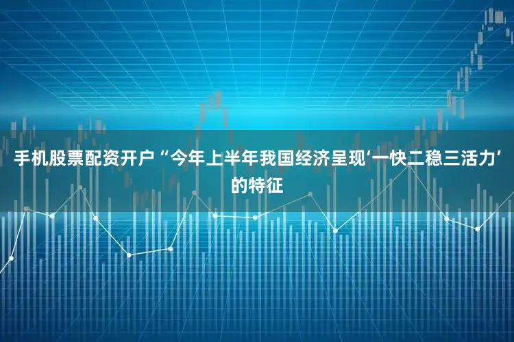 手机股票配资开户“今年上半年我国经济呈现‘一快二稳三活力’的特征
